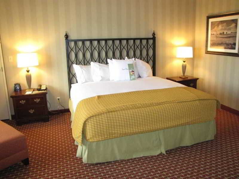 Doubletree By Hilton Atlanta Windy Hill Ballpark Smyrna Room photo